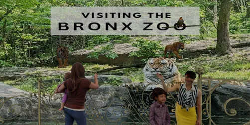 New York City's Famous Zoo