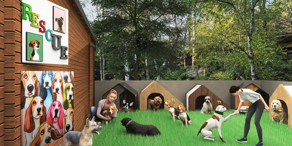 dog rescue center with playful dogs and a person engaging with them in a vibrant outdoor setting, emphasizing animal welfare and a welcoming atmosphere