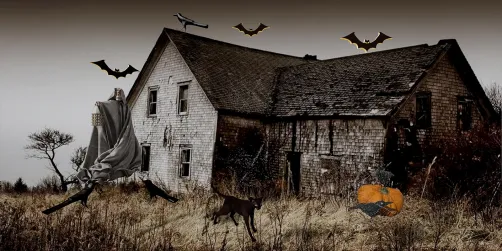 Happy October 