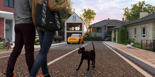 Our friends in the neighborhood 😻😻