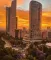 Dfanders 2022