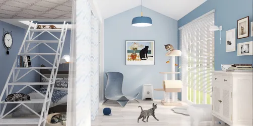cat lover home