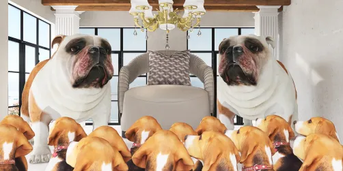 Le dieu chien 