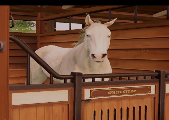 My New Horse WhiteStorm! Design Rendering