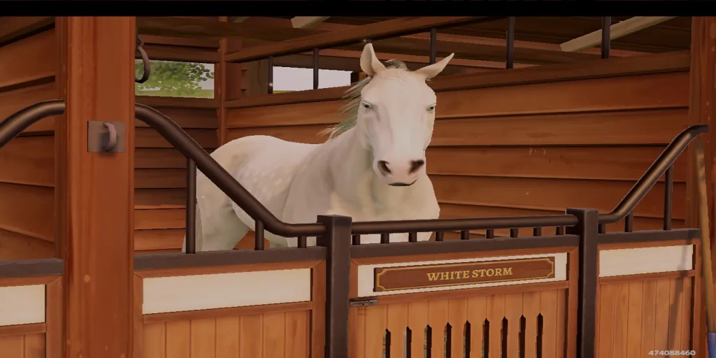 a white horse standing next to a wooden fence 