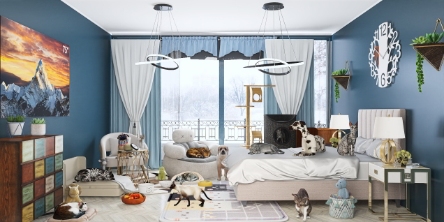 Pets in Home 🛏🐈🐈‍⬛🐕🐩