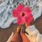 Flower Power