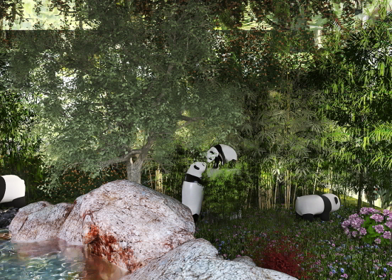 Observando a los pandas en libertad Design Rendering