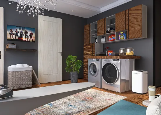Hang out all day doing laundry and watching tv.    Design Rendering