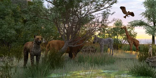 Earth Day: Protect your Heritage 2