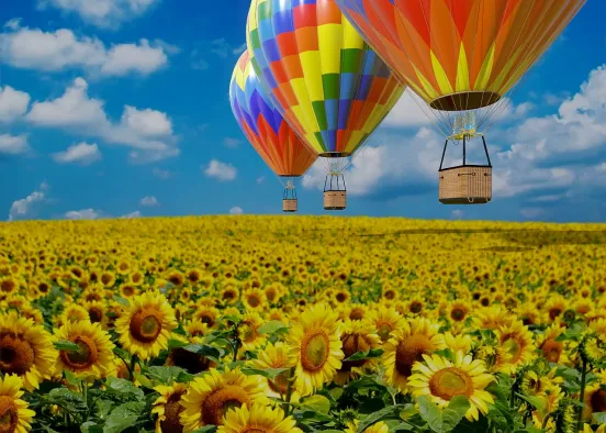 # SUNFLOWERS  Renderização de Design