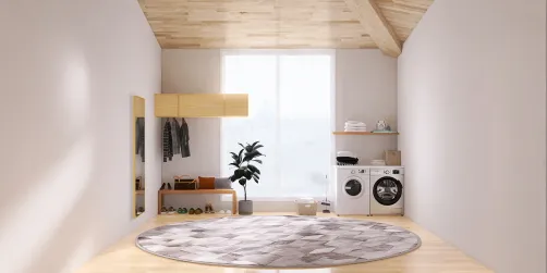 Aesthetic laundry/mud room