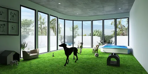 Dog room 