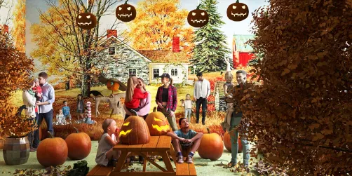 Pumpkin farm