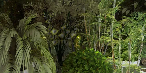 Plants, plants and plants