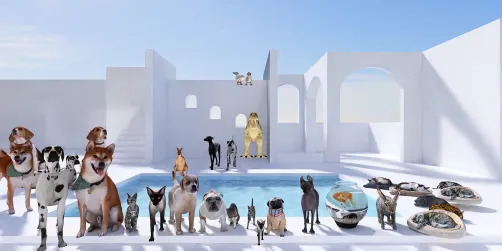 Le monde des chiens