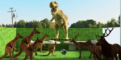The Kangaroos vs. Deers, Goats and Moose 