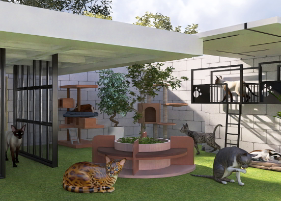 Court yard for cat shelter Design Rendering