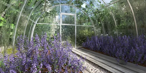 Green/Lavender House