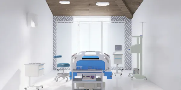 Professional interior design created with Homestyler 3D design software