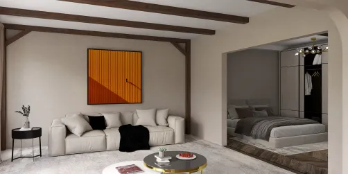 open plan living room and bedroom