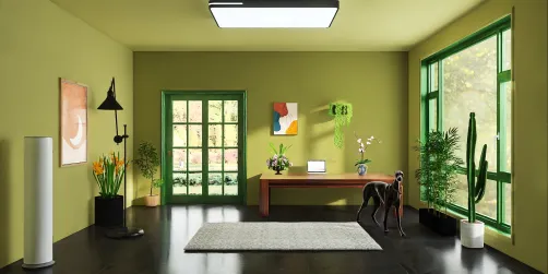 Home garden