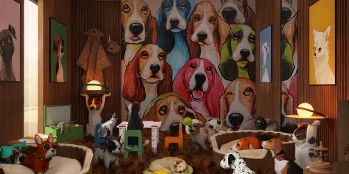 day care for dogs 🐶