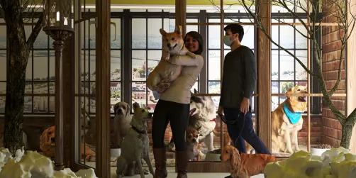 non comprare un cane passa dal canile 