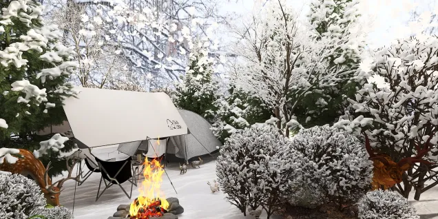 Winter Camping!
