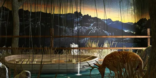 Night Time Encounter’s 