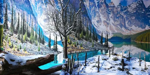 Switzerland joy 