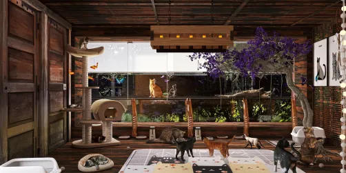 The cats playroom... 