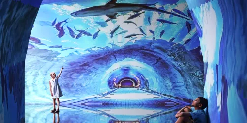 A=Aquarium
