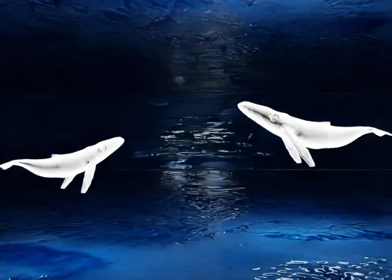 # ILLUSION  Renderização de Design