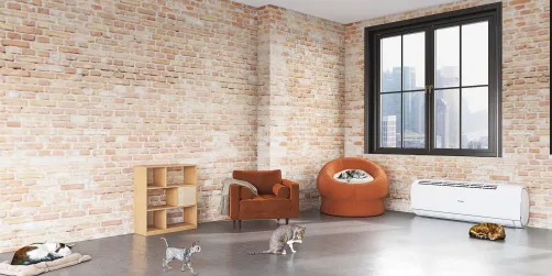 Cat House 