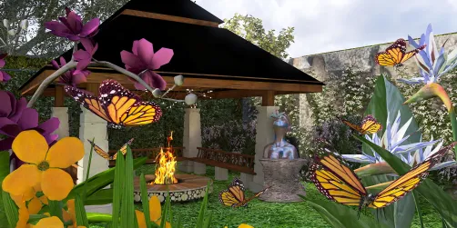 Butterflies on the backyard.🌺🍀🦋