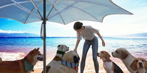 Dog Sitter al mare 