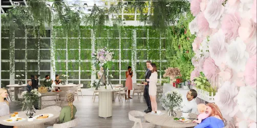 The garden room