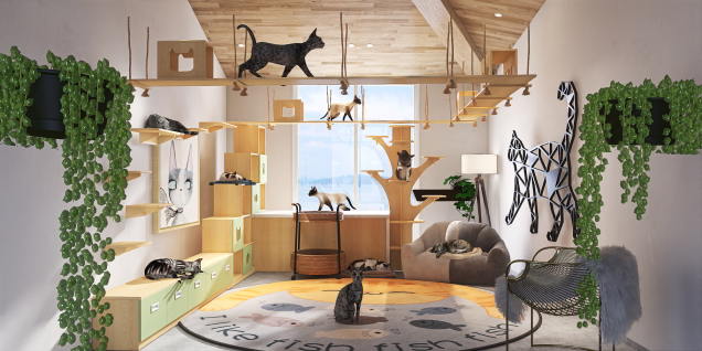 Another cat room!