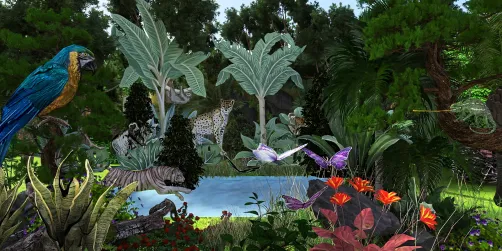 Rain forest 