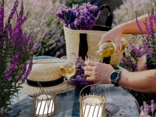 A Toast in Provence
