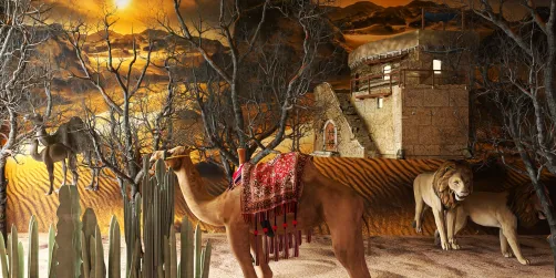  Our Small Safari Lodge 🐫 🐘🐅🦘💞