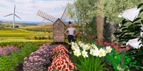 Flowers Plantation..🌺