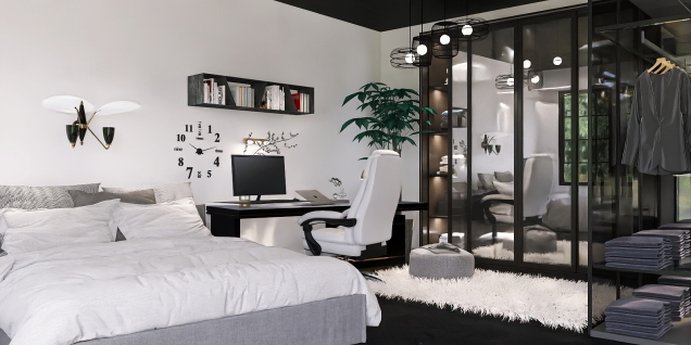 Room Idea for teen ager