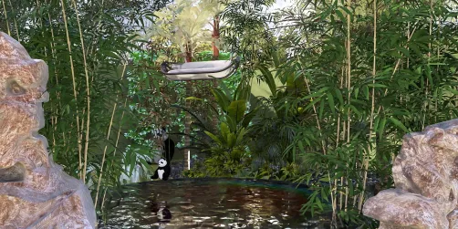 Rain forest au naturale🐼🐼🌿🌿
