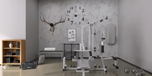 The elegance of a weight room