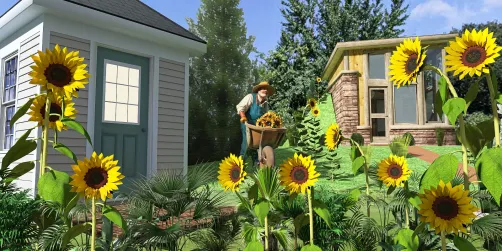 A Vibrant Garden Scene