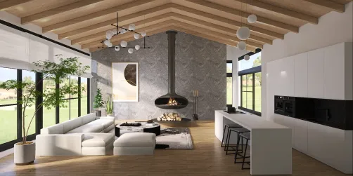 Minimalist home