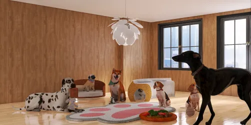 Dog Room!