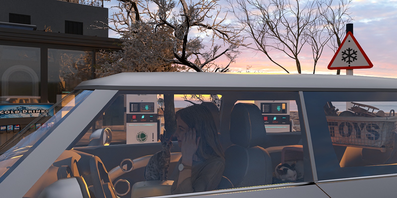 My cat adventure in the snow, 2012.